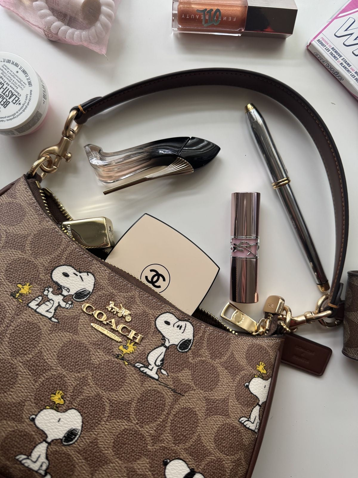Coach Teri x Snoopy