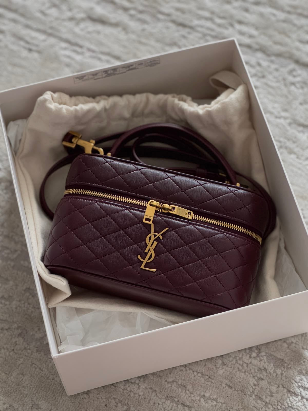 YSL Gaby Vanity Bag