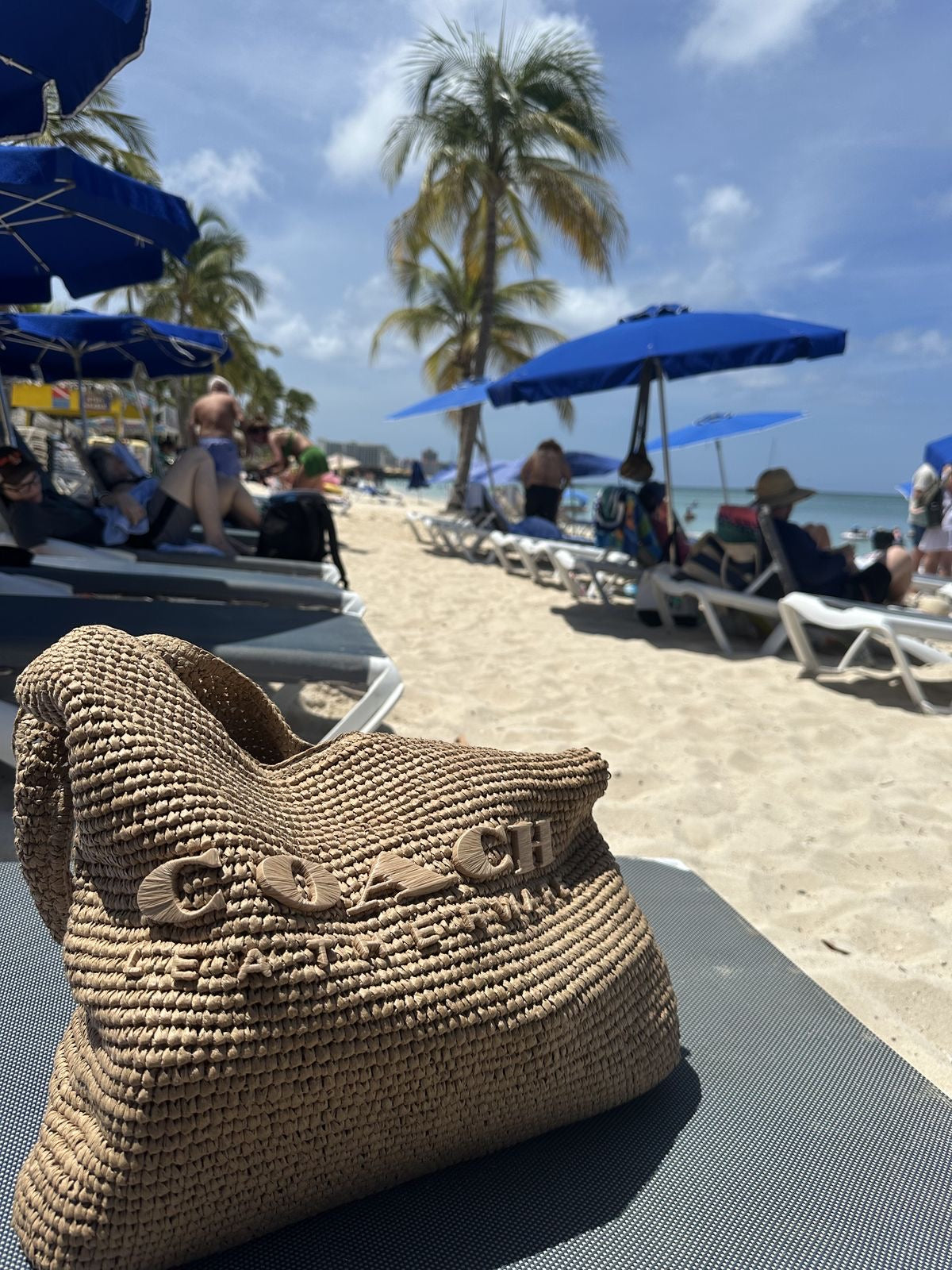 Coach Brooklyn Straw Bag