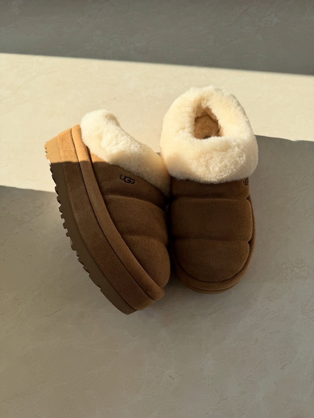 UGG Tazzlita