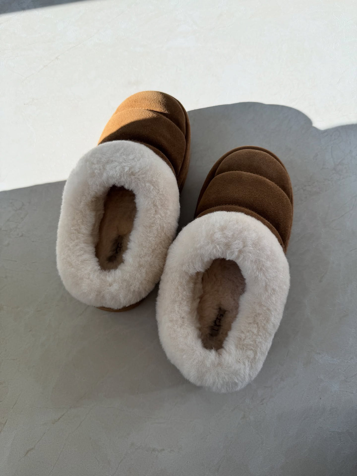 UGG Tazzlita